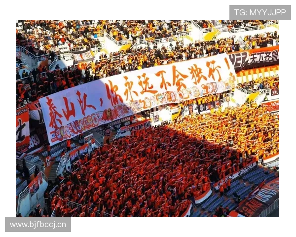 山东泰山鲁能颂 山东泰山鲁能颂